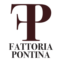 logo_250